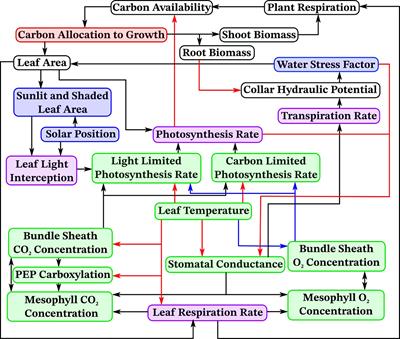 In silico evidence for the utility of parsimonious root phenotypes for improved vegetative growth and carbon sequestration under drought